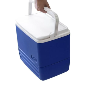 captura de tela 2023 10 09 091409